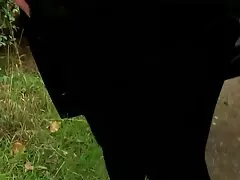Kammy lesbianas cojen consigue anal doggiestyle y chupa polla bien