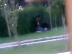 pornos mujeres con caballos